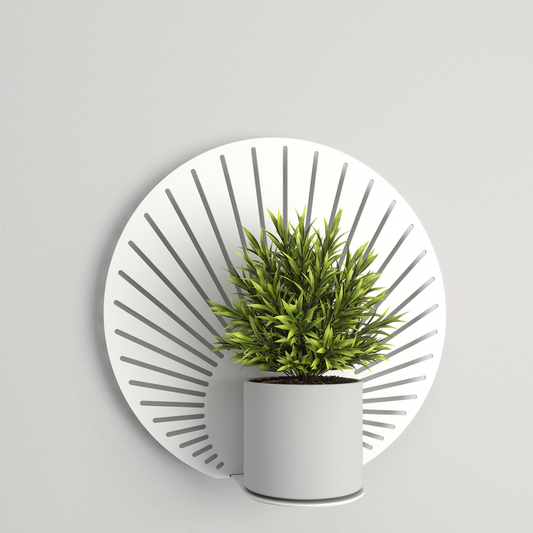 Plant shelf - 012 - Sunrise