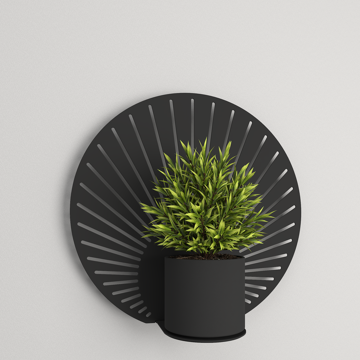 Plant shelf - 012 - Sunrise