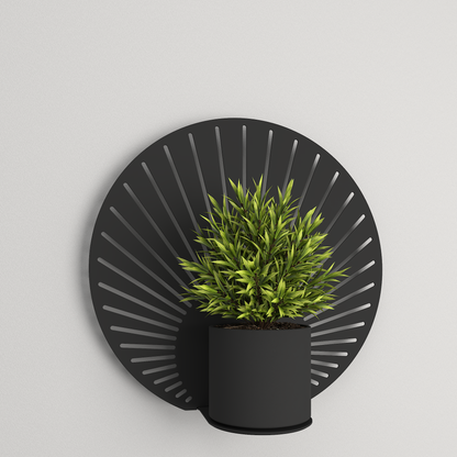 Plant shelf - 012 - Sunrise