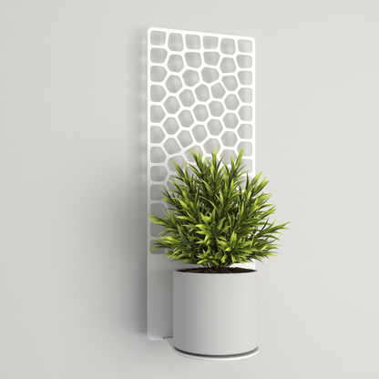 Plant shelf - 015 - Voronoi